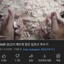 MBTI별 좋아하는 유튜브 재질 이미지