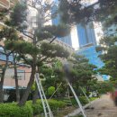 (주)수목조경 이미지