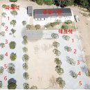 윤 오토캠핑장 이미지