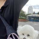 탄탄하개 유치원 이미지