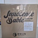 이노센스 | 먼지 없는 고양이모래 추천 &#39;이노센스 사블&#39;