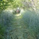 순양농장 이미지