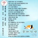 염불삼매 글 (부처님수행 일기)56/남자 스님 두 분이 꿈속에서 법문했다 / 꿈속의 남자 스님 법문은 특효약이다 /금강경 공부는 마음 이미지