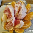 안동성소병원 산후조리원 이미지