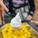 써프라이즈몰 이미지