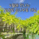 희망교 자전거도로 쉼터 | 광양 물향기 쉼터 등나무 개화시기 정리 직접 다녀온 촬영 후기