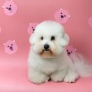 반야시스터 이미지