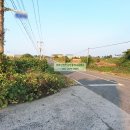 제주동부축산 영농조합법인 | ▶제주시 구좌읍 세화리 토지, 제주동부 축산영농조합 인근 건축 가능 토지 [4,701평/40만/18억 8,000만...