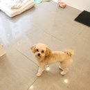 중동위생