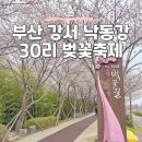 단포강변체육공원 공중화장실(5) | 부산 강서 낙동강변 30리 벚꽃길 축제 실시간 개화 상황 및 기본정보
