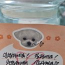 또리커피 이미지
