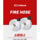 대일산업안전 이미지