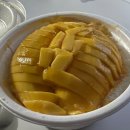 (주)코코베네 | 여름이 가기 전 꼭 먹어야하는 빙수집 밀크힐 🍧 (잠실 빙수 배달 맛집)