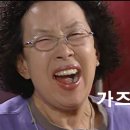 오마이갓개미