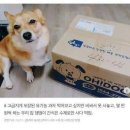 참 이미지