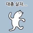 리빙모어