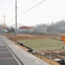 금화공인중개사사무소 이미지