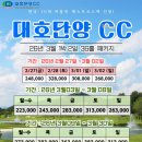 대호패키지