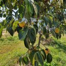 미도농장 이미지