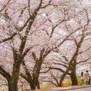 신경주역관광안내소 이미지