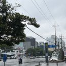 지니게임 | 부산 24시 보드게임카페 이용 후기,젊은이의양지 전포점
