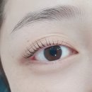 뷰티앤라이프 | 자연스러운 컬링의 비밀, 부산해운대속눈썹펌 코코앤뷰티 속눈썹펌 후기