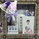 추모꽃 봉양(26.9.10./3165) 이미지