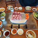 연미정회전오리 이미지