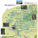 화인애견 네이버블로그