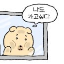 디아브헤어