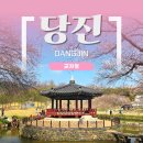 면천군자정 | 당진 가볼 만한 곳 / 당진 벚꽃 명소, 영랑효공원과 군자정