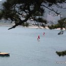 가재미로 이미지