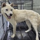 남양주 진건119안전센터 이미지