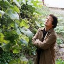 동아여인숙 이미지