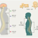참조은병원 이미지