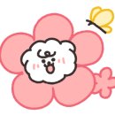 아로하스토리 이미지