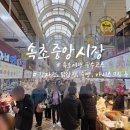 마산-중앙-중앙센터-18 | 속초중앙시장 먹거리 추천 회 포장부터 코끼리분식 강원도막걸리술빵까지 총정리