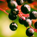 (주)네츄럴라이프 이미지