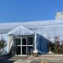 양재시장 육교 밑 | 초보식집사 키우기 쉬운 식물 양재꽃시장 영업시간