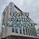 부곡중앙로 | 창녕 부곡 온천 부곡 스파디움 따오기 호텔 후기, 아이랑 가기 좋은 온천 수영장 가족탕