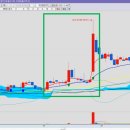 천일양봉 이미지