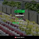 스마트팜 이미지