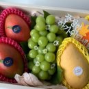 온기청과 이미지