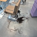 맞춤 헤어 미용실 이미지