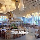 글벗누리작은도서관 | 제주 아이랑 가볼만한곳｜별이내리는숲 어린이도서관 5살 아이와 다녀온 제주 어린이 도서관 후기