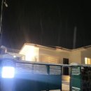 신천코지 이미지