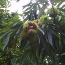 신철농장 이미지