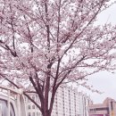 흥덕초등학교 정문 앞 이미지