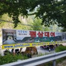 성주로50 캠프앤펜션 이미지