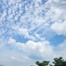 정산면사무소 | 여름 산 추천 등린이 등산코스 추천 알레버스 이용후기 칠갑산 난이도 주차장 위치 블랙야크 100대 명산...
